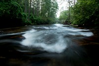 A morning river scene in the Davidson River Campground, Pisgah National Forest, NC, July 29, 2017. (USDA Photo by Lance Cheung). Original public domain image from Flickr