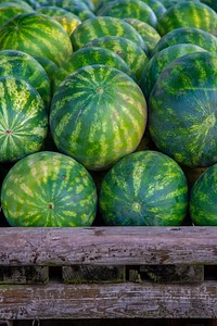 Harvested watermelon Krueger Farm outside of Letts, Iowa. The farm, which also grows cantaloupe, pumpkins, squash, onions, peppers, cucumbers, tomatoes, and zucchini for sale at their own stand as well as local grocery stores are promoting locally-grown produce.