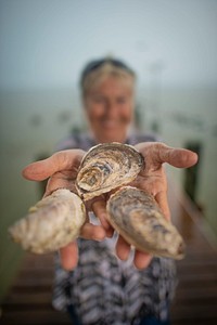 Dottie Lawley, owner of Bama Bay Oyster Farm LLC, produces oysters out of Mobile Bay behind her home since 2017 and markets her oysters for sale to local restaurants. They currently participate in USDA FSA NAP program and recently signed up to use the 2017 WHIP program for production losses, due to 2017 weather related, natural disasters.USDA Photo by Preston Keres