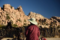 Nature travel in Joshua Tree. Free public domain CC0 photo.