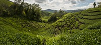 Agricultural farm land. Free public domain CC0 photo