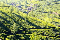 Beautiful vast agricultural landscape. Free public domain CC0 photo.