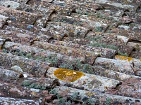 Roof texture pattern. Free public domain CC0 photo.