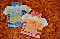 Euro folded shirt, money & banking. Free public domain CC0 image.
