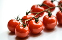 Tomatoes, vegetables. Free public domain CC0 image