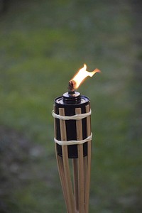 Wooden torch with flame. Free public domain CC0 photo.