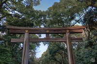 Meiji Jingu Torii gate, Tokyo. Free public domain CC0 photo.