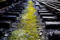 Empty train track. Free public domain CC0 photo.