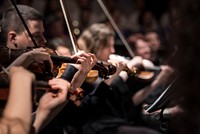 Violins in orchestra - unknown date & location