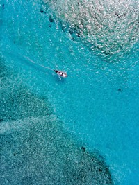 Aerial view of kayaking in blue sea, free public domain CC0 photo.