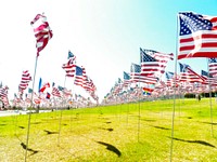 American flags. Free public domain CC0 photo.