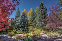 Park in autumn. Free public domain CC0 photo.