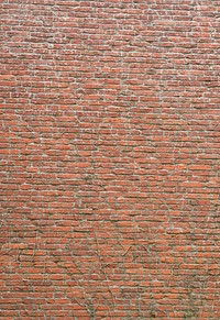 Brick wall texture. Free public domain CC0 photo.