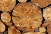 Stack of firewood timber. Free public domain CC0 image