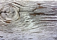 Wood texture background. Free public domain CC0 photo.