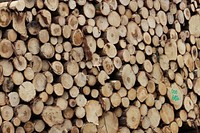 Pile of timber background. Free public domain CC0 photo.