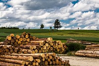 Pile of timber background. Free public domain CC0 photo.