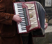 Musician playing accordion, musical instrument. Free public domain CC0 photo.