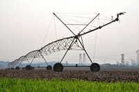 Agricultural vegetable garden. Free public domain CC0 photo.