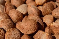 Almond nuts. Free public domain CC0 photo