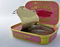 Canned anchovy. Free public domain CC0 photo