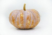 Brown squash on white background. Free public domain CC0 photo.