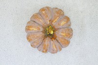 Brown squash on white background. Free public domain CC0 photo.