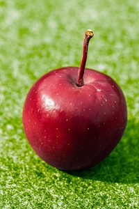 Closeup on red apple on grass. Free public domain CC0 photo.