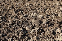 Closeup on soil. Free public domain CC0 photo.