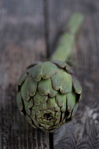 Artichoke vegetable, edible plant. Free public domain CC0 photo