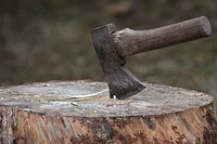 Axe cutting wood. Free public domain CC0 photo.