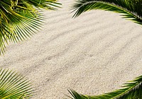 Botanical leaves on a sand beach. Free public domain CC0 image