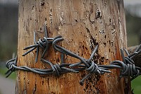 Barbed wire fence, security protection. Free public domain CC0 image