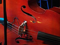 Cello, classical music instrument background. Free public domain CC0 photo.