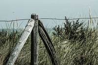 Beach fence. Free public domain CC0 image.