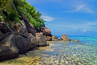 Beach shore in Seychelles. Free public domain CC0 photo.