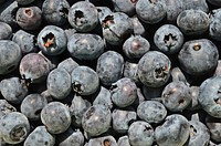 Closeup on pile of fresh blueberries. Free public domain CC0 image. 