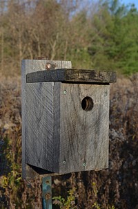 Cute bird house and feeder. Free public domain CC0 photo.