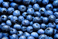 Closeup on pile of fresh blueberries. Free public domain CC0 image. 