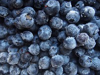 Closeup on pile of fresh blueberries. Free public domain CC0 image. 