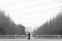 Man on bridge, background photo. Free public domain CC0 image.