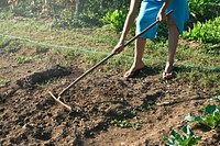 A woman raking the soil in the garden with gardening hand tool