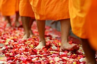 Monks walking on flower petals. Free public domain CC0 photo.