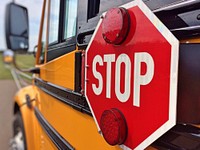 Bus stop sign. Free public domain CC0 photo.