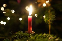 Christmas candle. Free public domain CC0 image.