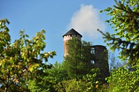 Hallenberg Castle in Thuringia, Germany behind trees. Free public domain CC0 image.