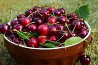 Closeup on bowl of red cherries. Free public domain CC0 photo.