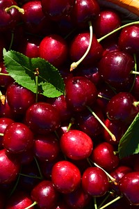 Closeup on pile of red cherries. Free public domain CC0 image. 