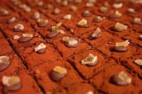 Chocolate cake with cocoa powder on top. Free public domain CC0 photo.