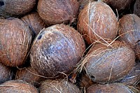 Pile of fresh coconuts. Free public domain CC0 image. 